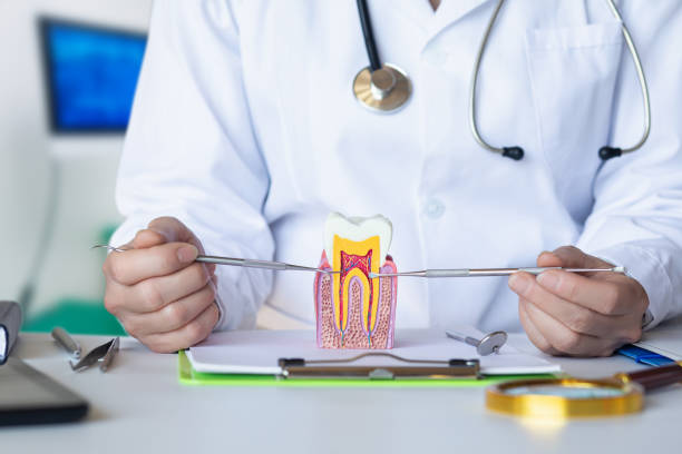 Best Same-Day Emergency Dental Services in Nicholls, GA